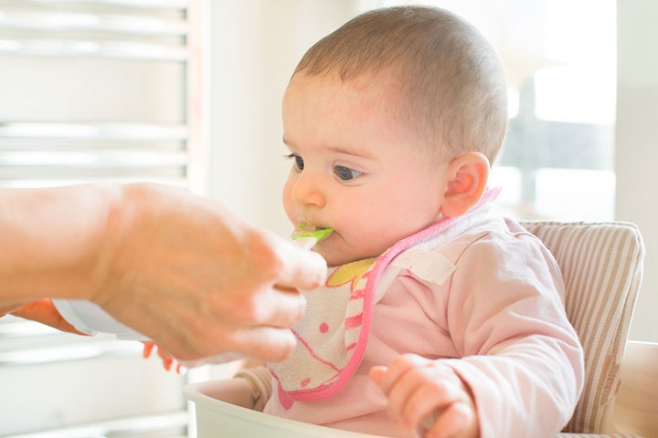 婴儿可能在8个月时开始咀嚼
