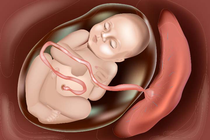 Baby movements are masked in anterior placenta