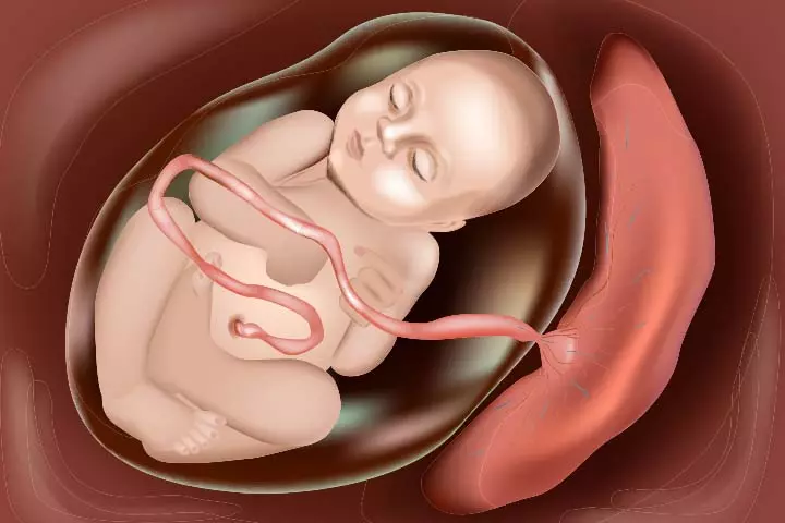 Baby movements are masked in anterior placenta