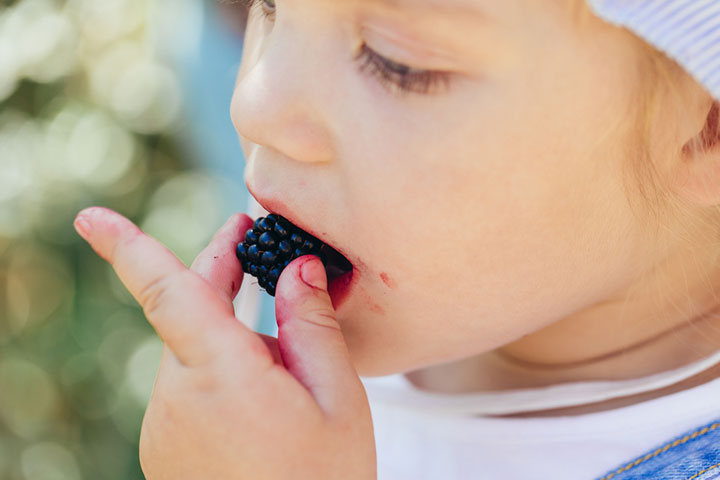 Blackberries help improve a baby's immunity