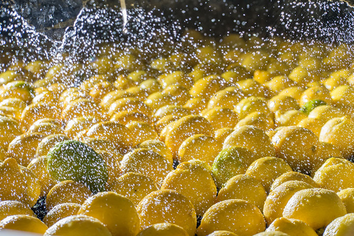 Clean lemons under running water