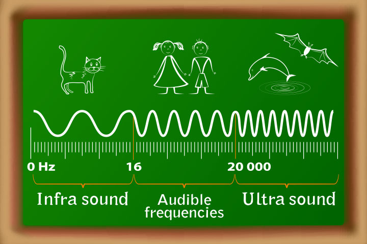 Different kinds of sound waves