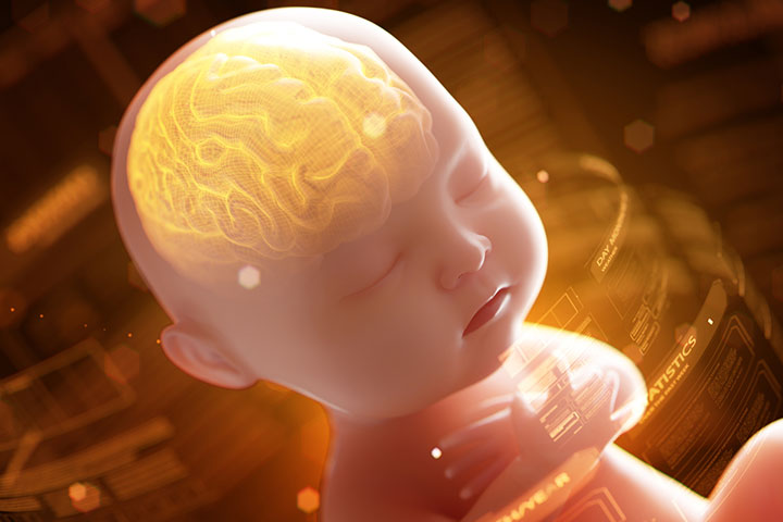 Eggs during pregnancy can support fetal brain development