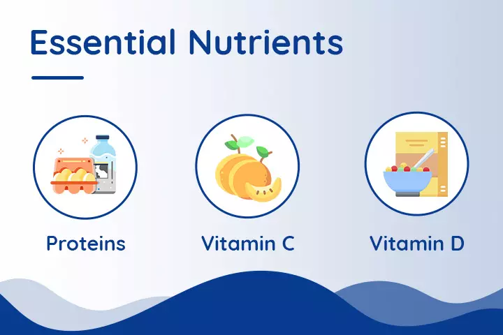 Essential Nutrients