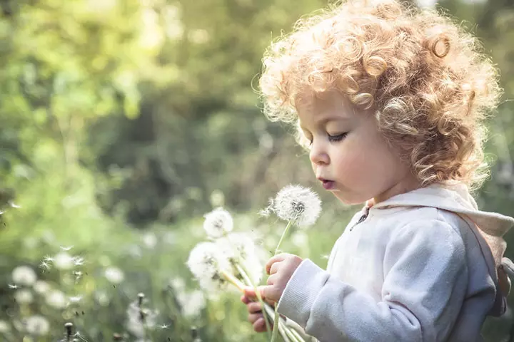 Spring is the time to play with dandelions