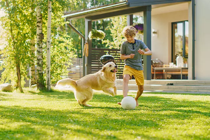 Take the pet for a run in the garden