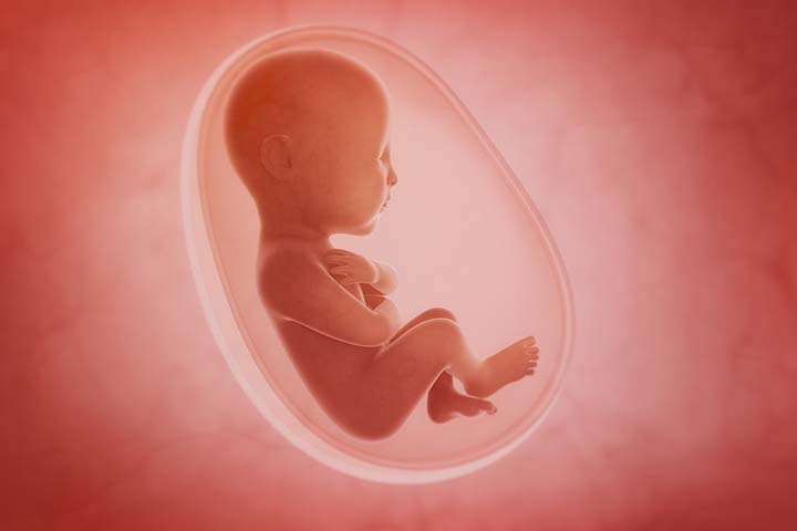 维生素A在罗勒帮助促进胎儿发育