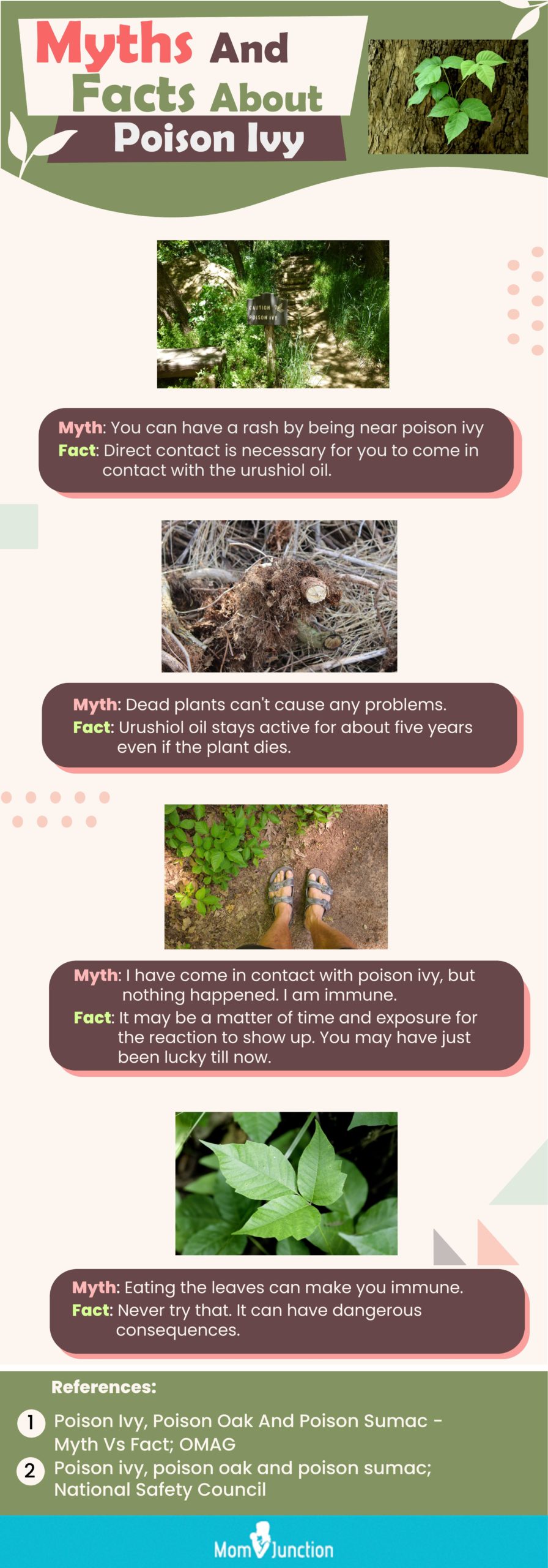 myths and facts about poison ivy (infographic)