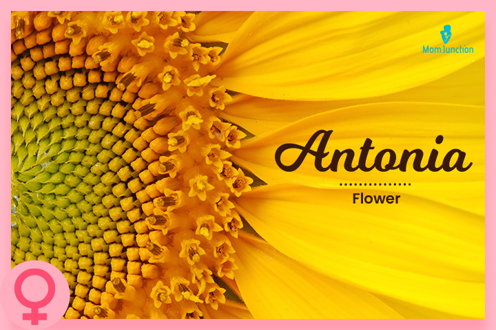 Antonia also means priceless in Roman.