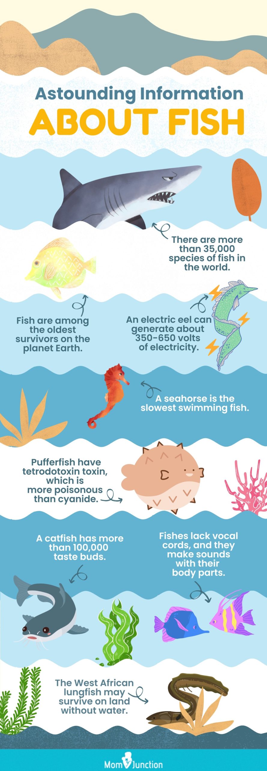 astounding information about fish (infographic)