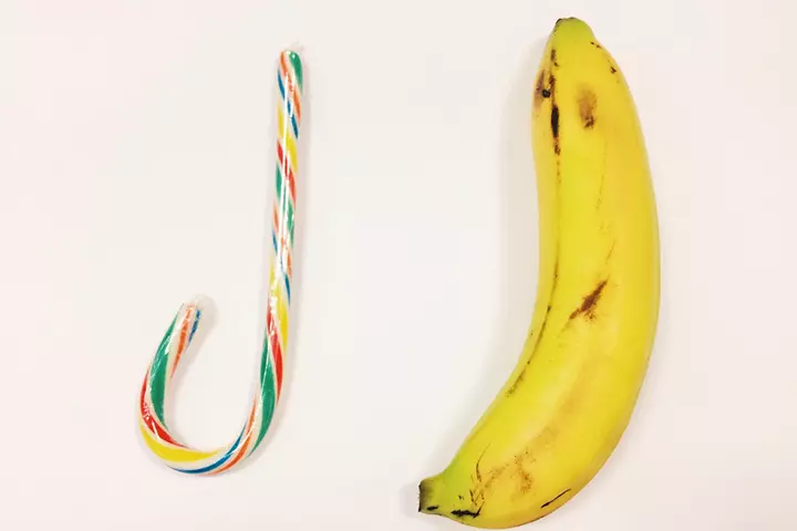 Bring Food With Similar Shapes