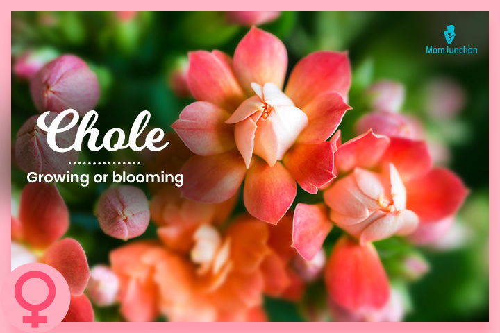 Chole, plant name for baby girls