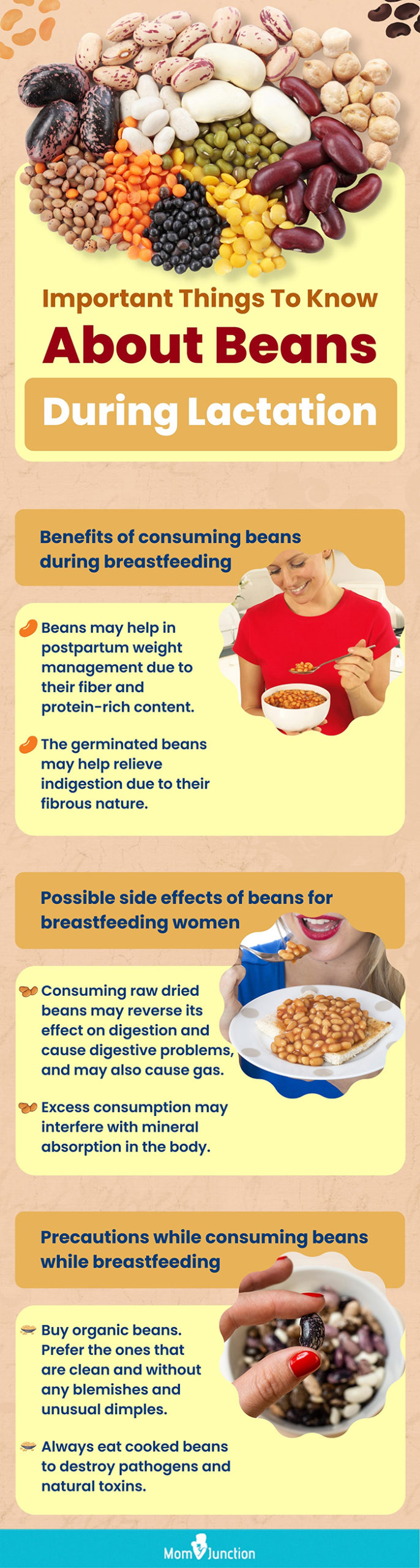 important things to know about beans during lactation (infographic)