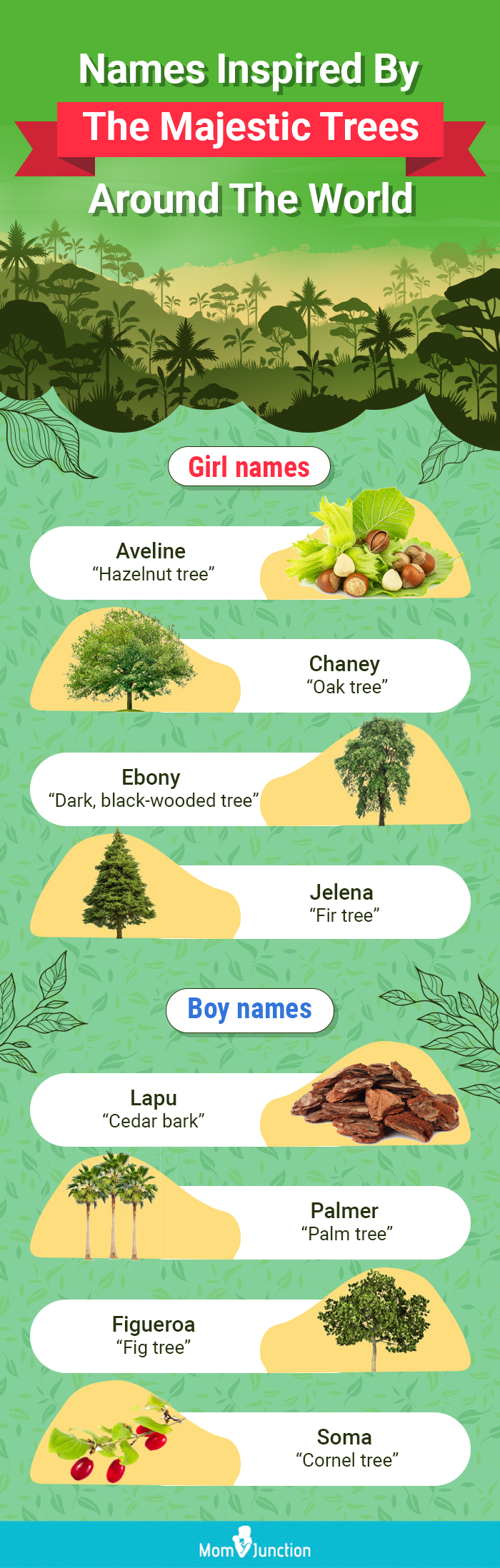majestic trees baby names [infographic]