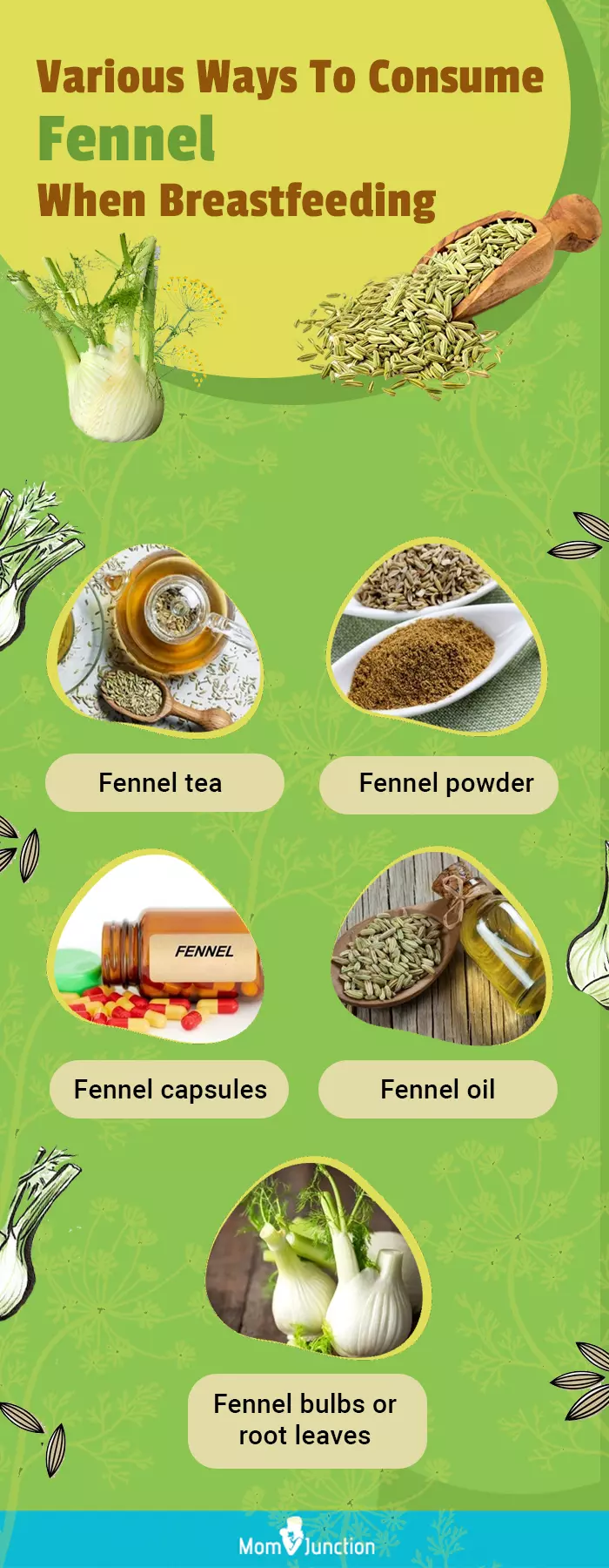 fennel in your nursing diet (infographic)