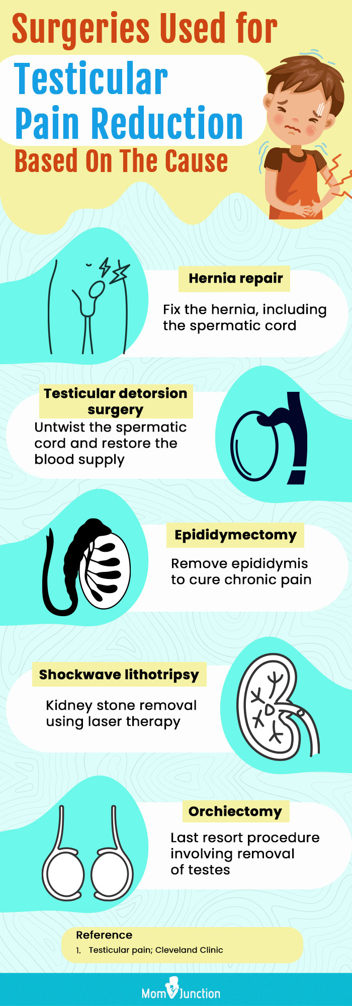 teens underlying cause of testicular pain (infographic)
