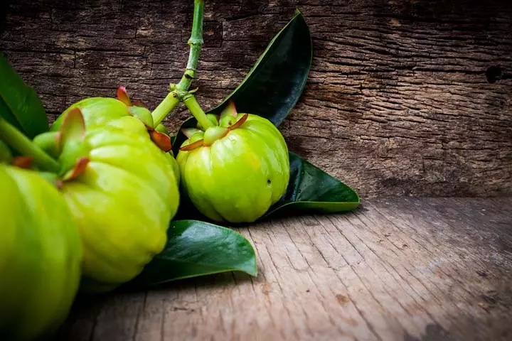 There is not enough medical evidence to support the safety of garcinia cambogia