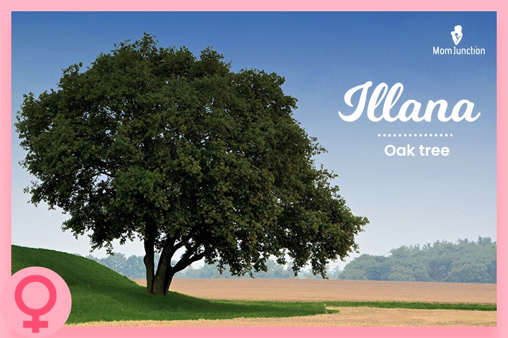 Hebrew baby girl name meaning oak tree.