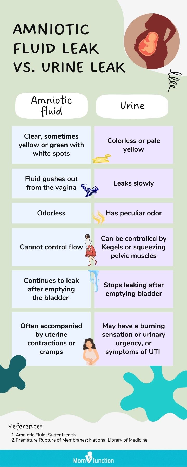 amniotic fluid leak vs urine leak (infographic)