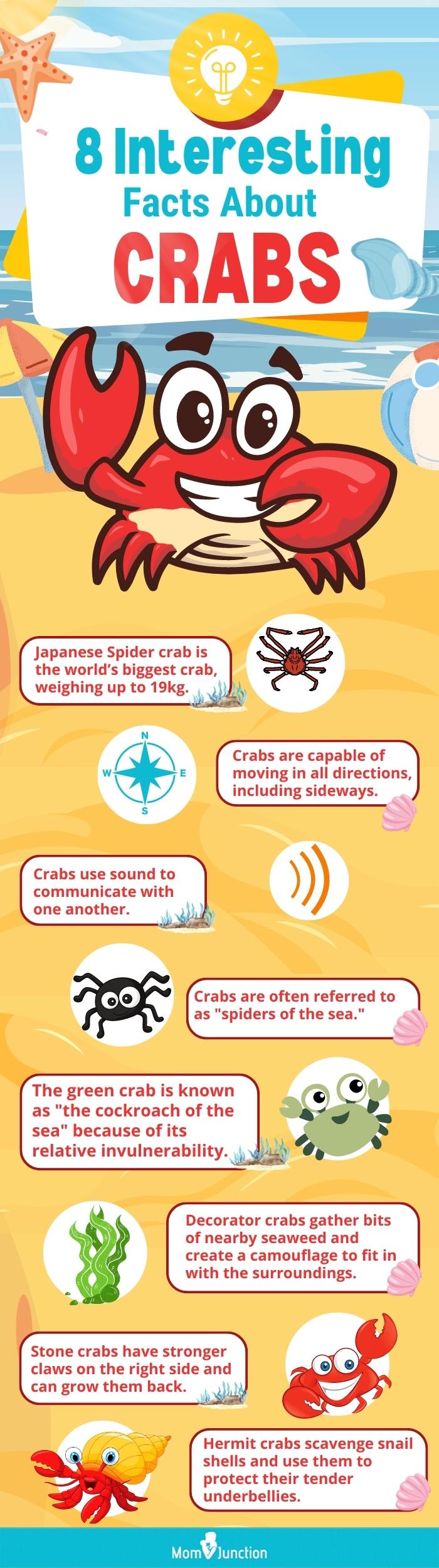 8 interesting facts about crabs (infographic)