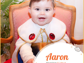 Aaron means exalted