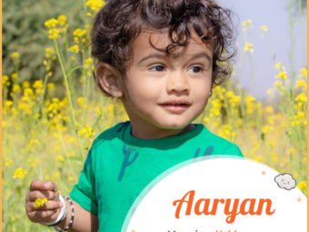 Aaryan is a noble Sanskrit name