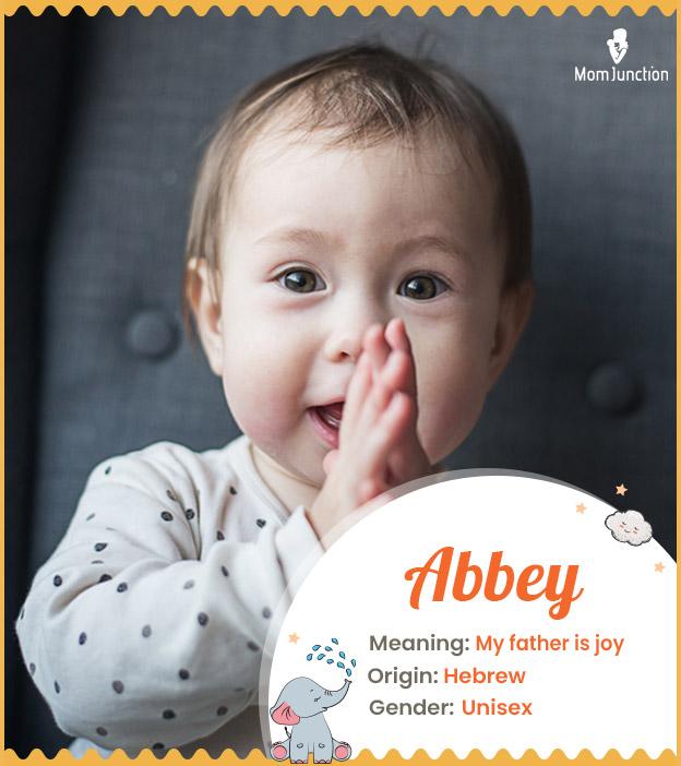 Abbey Baby Name: Meaning, Origin, Popularity_image