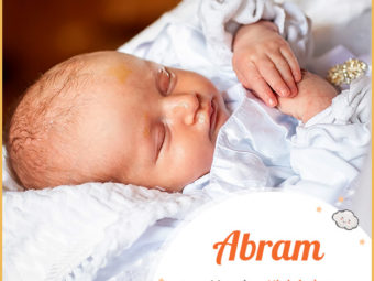 Abram, the father of multitude