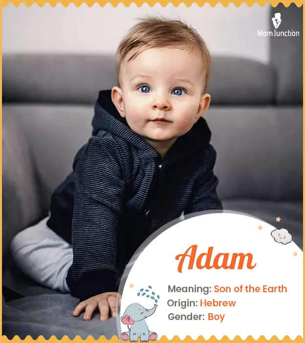 Adam Name Meaning, Origin, History, And Popularity_image