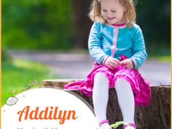 Addilyn, a feminine name