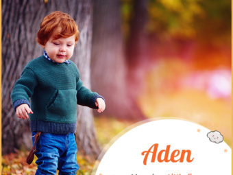 Aden, a fiery little man