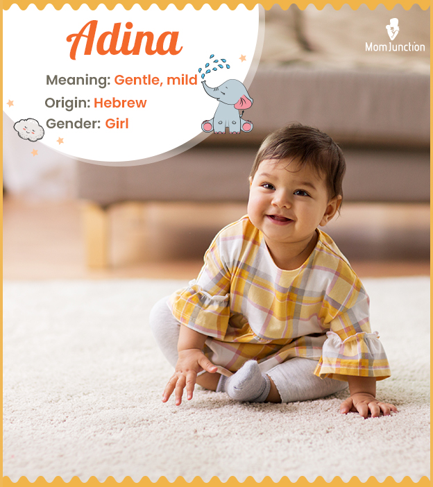 Adina Meaning, Origin, History, And Popularity_image