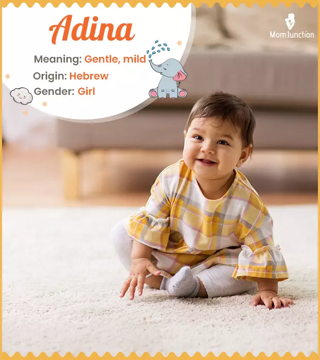 Adina Meaning, Origin, History, And Popularity | MomJunction