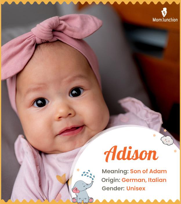 Adison Meaning, Origin, History, And Popularity_image