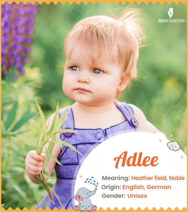 Adlee Baby Name: Meaning, Origin, Popularity_image