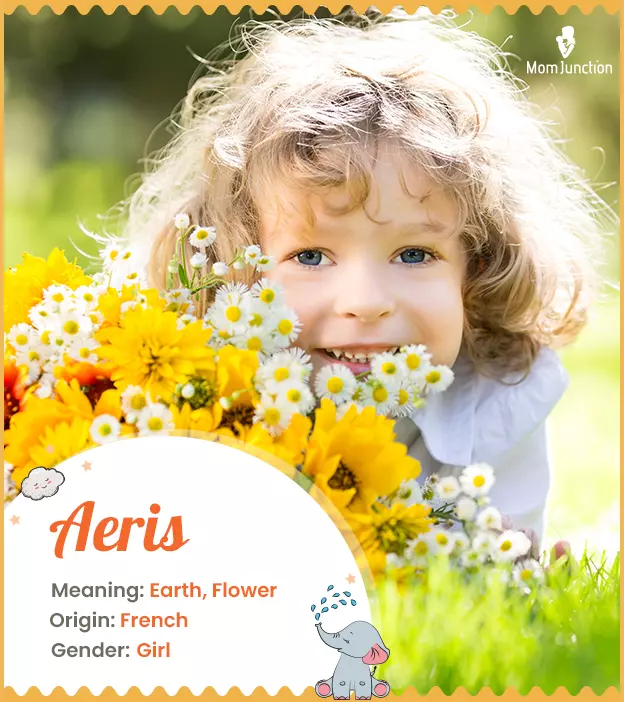 Aeris: Name Meaning, Origin, History, And Popularity | MomJunction