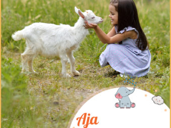 Aja, means goat, forest goddess, light, beautiful, cold spring, east.
