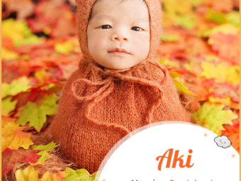 Aki, a versatile and elegant name as bright as autumn leaves