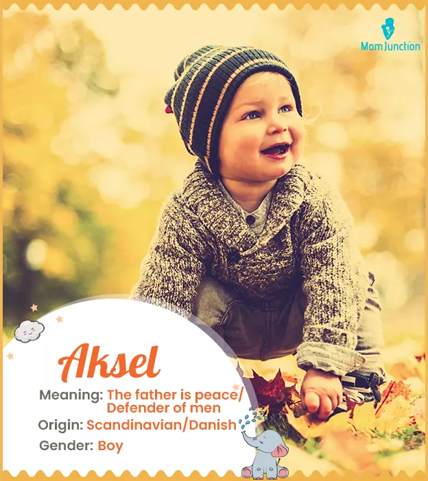 Aksel Name Meaning, Origin, History, And Popularity_image