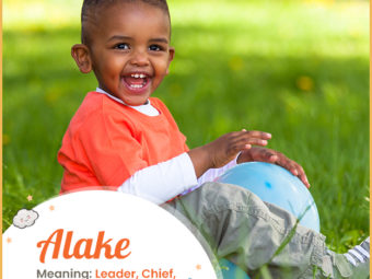 Alake means leader, chief, or monarch
