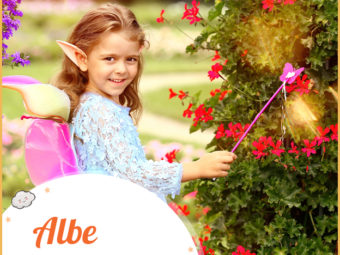 Albe, a sweet feminine name with positive connotations.