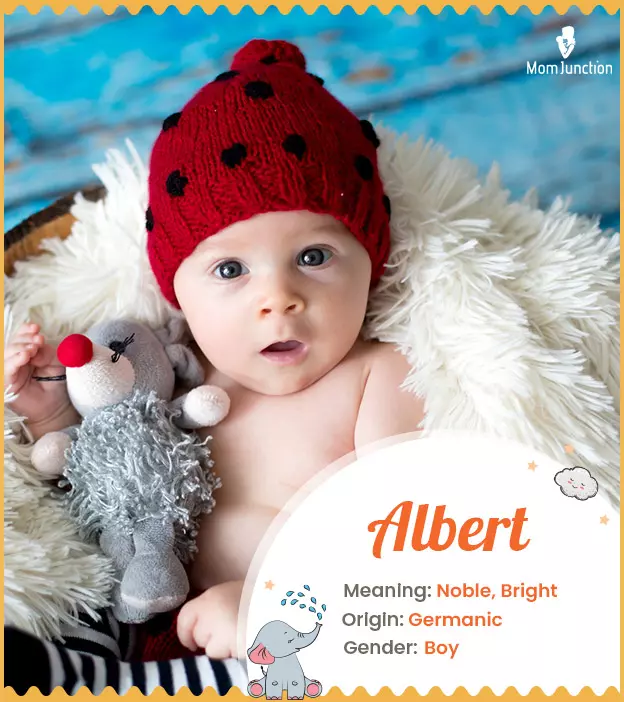 albert: Name Meaning, Origin, History, And Popularity | MomJunction