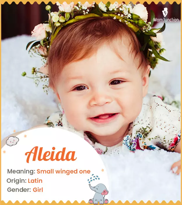 Aleida Name Meaning, Origin, History, And Popularity_image