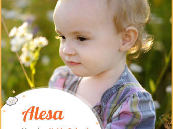 Alesa means noble or defender