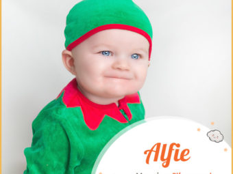 Alfie, meaning elf counsel
