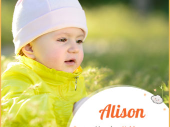 Alison, meaning of noble birth
