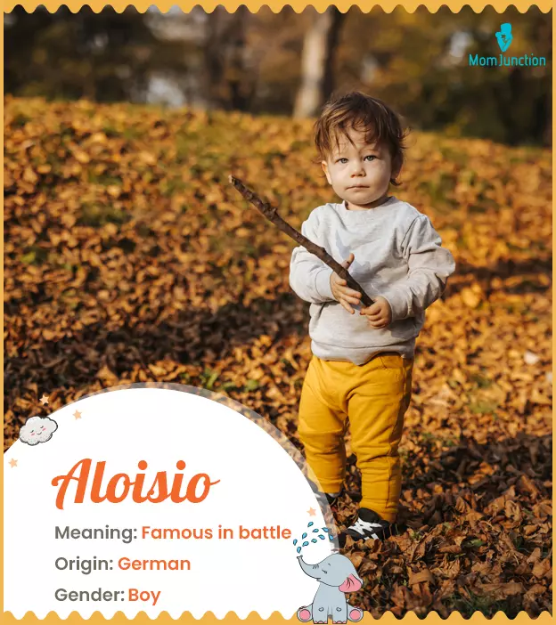 Aloisio Baby Name: Meaning, Origin, Popularity_image