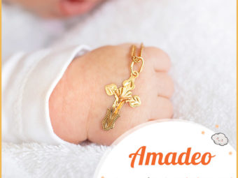 Amadeo, name that embodies creativity, passion, and sophistication.