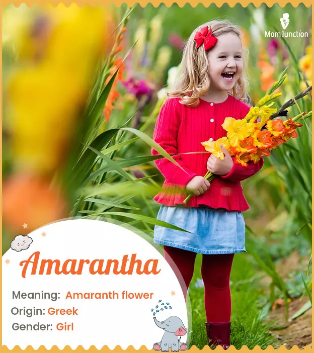 Amarantha Meaning, Origin, History, And Popularity_image