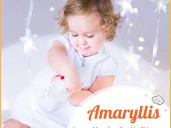 Amaryllis, a name meaning sparkle